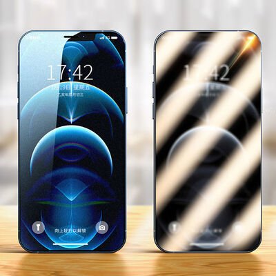 Apple iPhone 12 Pro Patinda Fit Hard Mat Privacy Cam Ekran Koruyucu