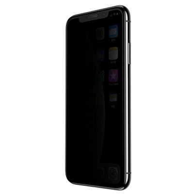 Apple iPhone XR 6.1 Patinda Anti-Dust Temperli Ekran Koruyucu