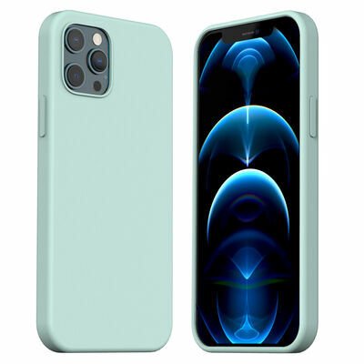 Apple iPhone 12 Pro Kılıf Araree Typo Skin Kapak