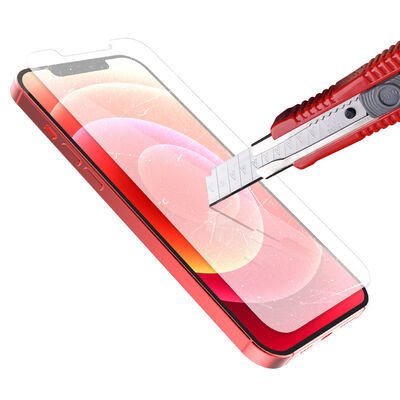 Apple iPhone 12 Pro Araree Subcore Temperli Ekran Koruyucu