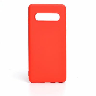 Galaxy S10 Kılıf Patinda İnci Silikon