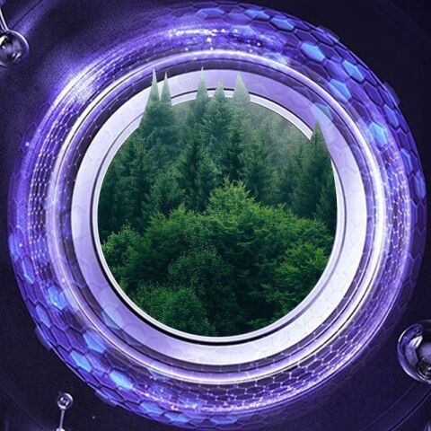Apple iPhone 11 Pro Max Go Des CL-10 Kamera Lens Koruyucu