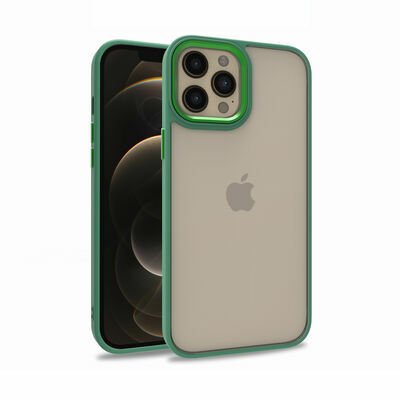 Apple iPhone 12 Pro Max Kılıf Patinda Flora Kapak