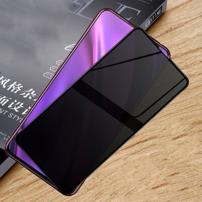 Oppo Reno 2Z Patinda New 5D Privacy Temperli Ekran Koruyucu