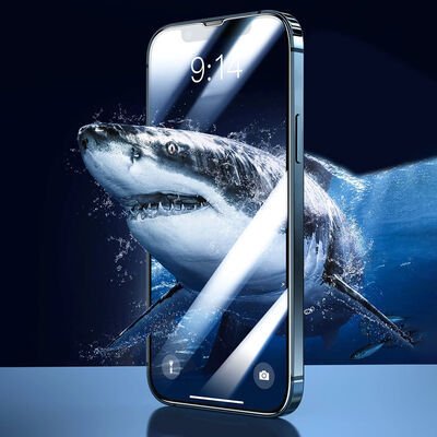 Apple iPhone 13 Pro Max Davin 5D Cam Ekran Koruyucu
