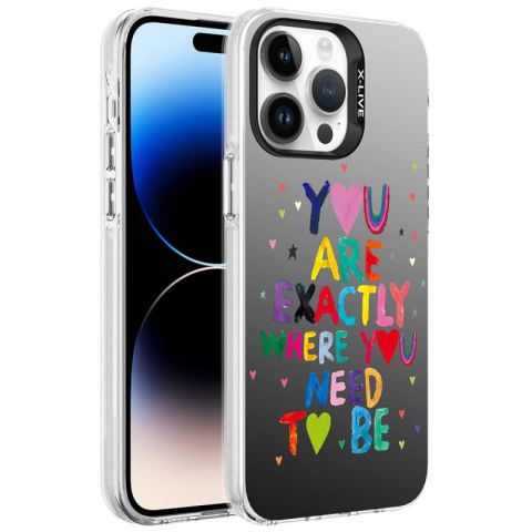 Apple iPhone 14 Pro Kılıf Desenli Patinda Silver Sert Kapak