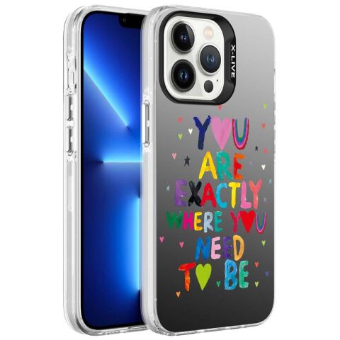 Apple iPhone 13 Pro Max Kılıf Desenli Patinda Silver Sert Kapak