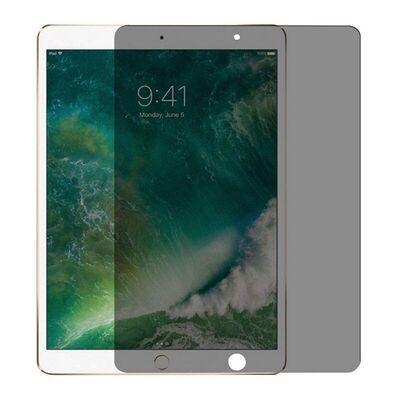 Apple iPad 10.2 2021 (9.Nesil) Patinda Tablet Privacy Temperli Cam Ekran Koruyucu