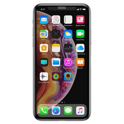 Apple iPhone 11 Pro Patinda Anti-Dust Privacy Temperli Ekran Koruyucu
