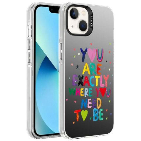 Apple iPhone 13 Kılıf Desenli Patinda Silver Sert Kapak