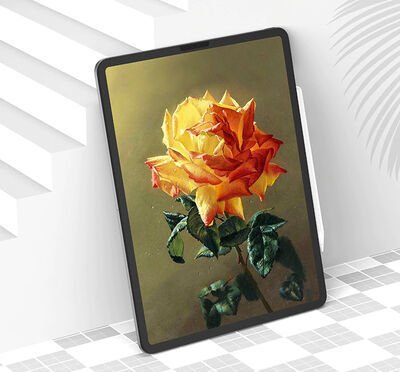 Apple iPad Pro 11 2020 (2.Nesil) ?Kağıt Hisli Wiwu iPaper Like Tablet Ekran Koruyucu